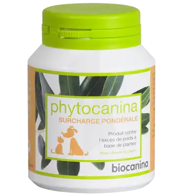 Phytocanina Comprimés Minceur B/40 à Paris