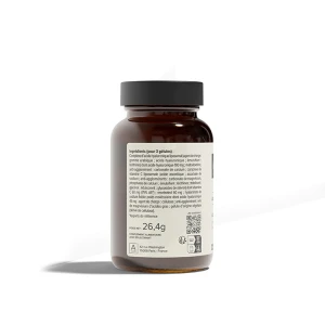 A-lab Acide Hyaluronique Liposomal Gélules B/60