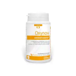 Effinov Nutrition Oxynov Gélules B/30 à Vannes