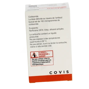 Alvesco 160 Microgrammes/dose, Solution Pour Inhalation En Flacon Pressurisé