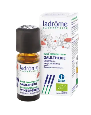 Ladrôme Huile Essentielle Gaulthérie Feuille 10ml à ANGLET