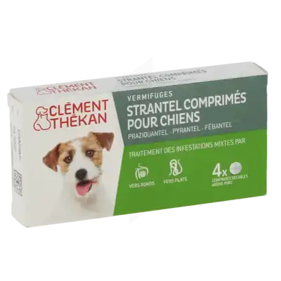 Strantel Chiens Cpr Vermifuge B/4 à CUISERY
