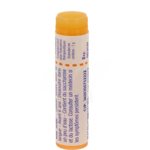 Boiron Arnica Montana 15ch Globules Dose De 1g