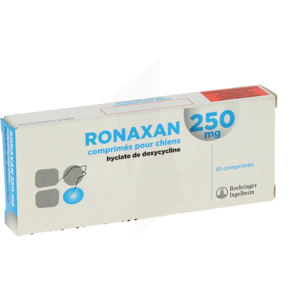 Ronaxan 250 Mg Comprimes Pour Chiens, Comprimé