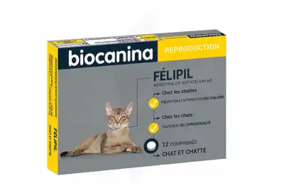 Biocanina Felipil 5mg Comprimés B/12 à Le Breuil