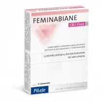 Feminabiane Cbu Flash Comprimés à CHÂLONS-EN-CHAMPAGNE