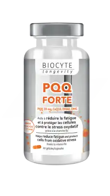 Biocyte Pqq Forte Gélules B/30 à Narbonne