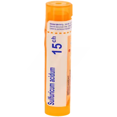 Sulfuricum Acidum 15ch Granules à ST-ETIENNE-DE-TULMONT