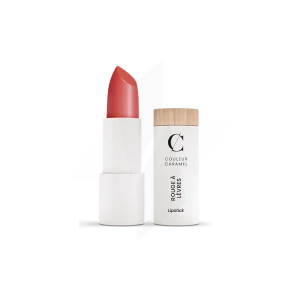 Couleur Caramel Rouge à Lèvres Satiné N°505 Nude Orangé 3,5g