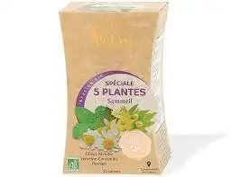 Pagès Spéciale 5 Plantes Infusion Bio Bien-etre Boîte De 20 Sachets