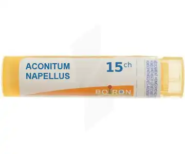 Aconitum Napellus 15ch à SAINT-SAENS