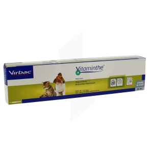 Vitaminthe, Pâte Orale