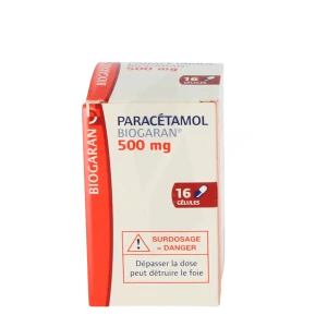 Paracetamol Biogaran 500 Mg, Gélule