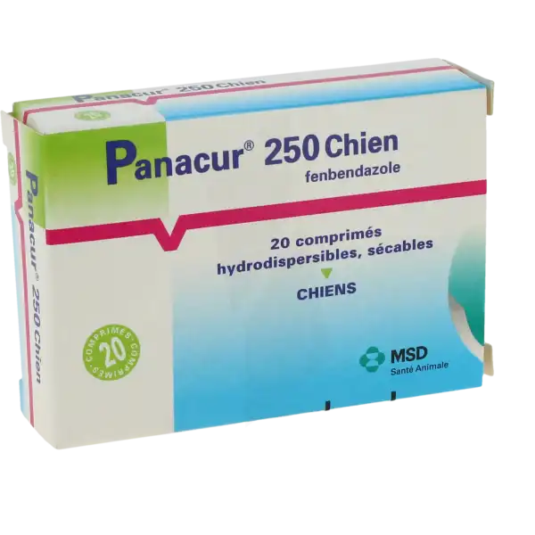 Panacur 250 Chien, Comprimé