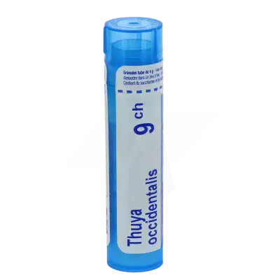 Boiron Thuya Occidentalis 9ch Granules Tube De 4g à CAMBLANES-ET-MEYNAC