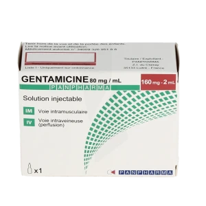 Gentamicine Panpharma 160 Mg, Solution Injectable