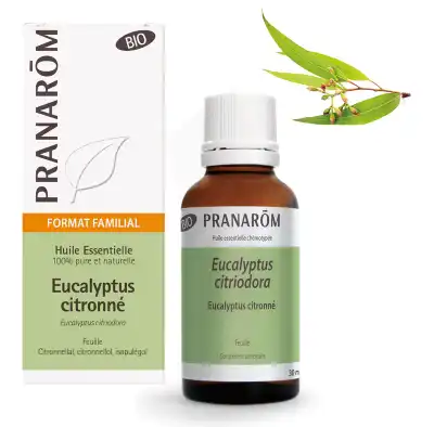 Pranarôm Huile Essentielle Bio Eucalyptus Citronné Fl/30ml à CERNAY