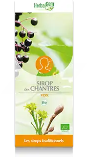 Herbalgem Sirop Bio Des Chantres Fl/250ml à AMBARÈS-ET-LAGRAVE