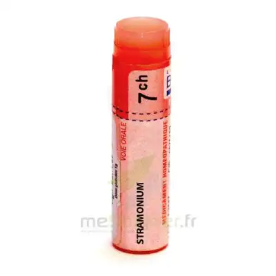 Boiron Stramonium 7ch Globules Dose De 1g à DURMENACH
