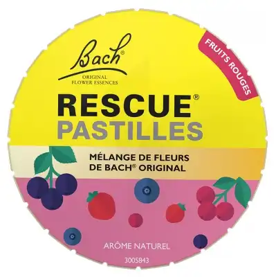 Rescue Past Fruits Des Bois B/50g