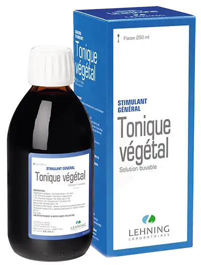 Lehning Tonique Vegetal Solution Buvable Fl/250ml
