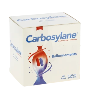Carbosylane Gélules 4plq/12+12