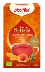 Yogi Tea Tis Bien-Être Naturel Bio 20sach/2g à ALES