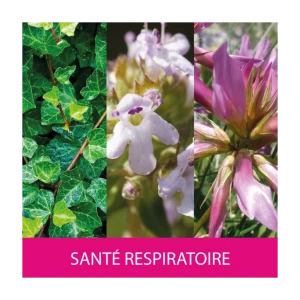 A.vogel Complexe Bronchosan Epf 50ml