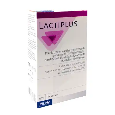 Pileje Lactiplus B/56 à Ris-Orangis