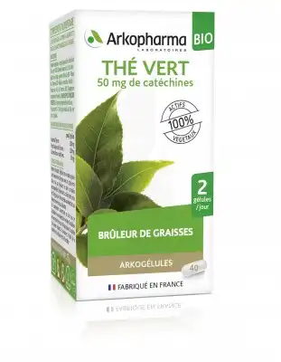 Arkogélules Thé Vert Bio Gélules Fl/40 à BOURG-SAINT-ANDÉOL