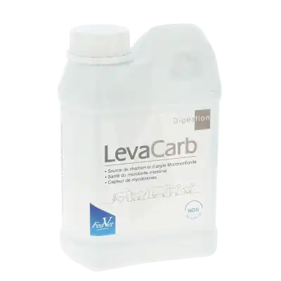 LEVA-CARB Sol orale digestion Fl/1l