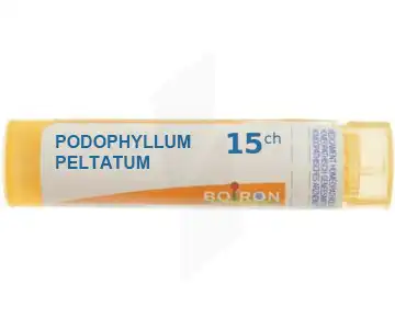Boiron Podophyllum Peltatum 15ch Granules Tube De 4g à MIRAMONT-DE-GUYENNE