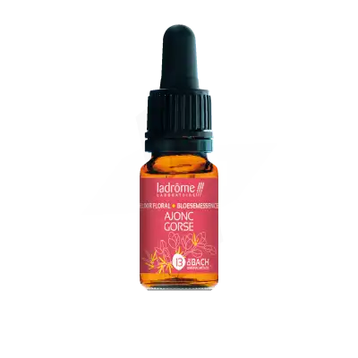 Ladrôme Elixir Floral 13 Ajonc 10ml