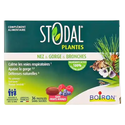 Stodal Plantes Pastilles Fruits Rouges Boîte De 36 à AIX-EN-PROVENCE