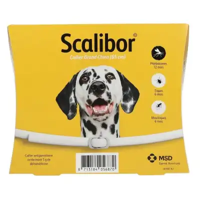 Scalibor Pack Grand Chien Collier 6*1