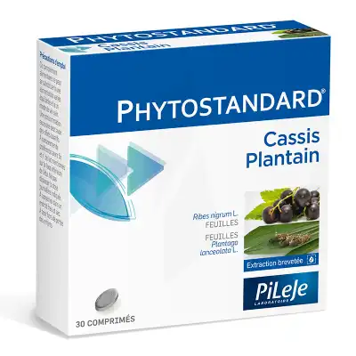 Pileje Phytostandard - Cassis / Plantain 30 Comprimés à Paris