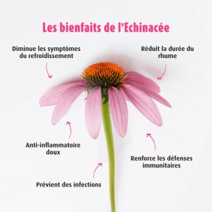 A.vogel Echinaforce Forte Immune Comprimés B/30