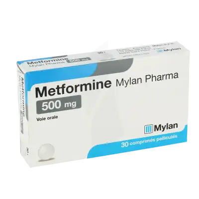 Metformine Viatris 500 Mg, Comprimé Pelliculé à CUISERY