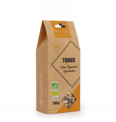 Nat&form Tisanes Tonus Bio 100g à PORT-DE-BOUC