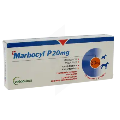 MARBOCYL P 20 MG, Comprimé