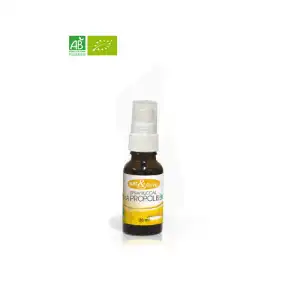 Nat&form Bio Propolis Bio Spray Buccal 20ml à ARGENTEUIL
