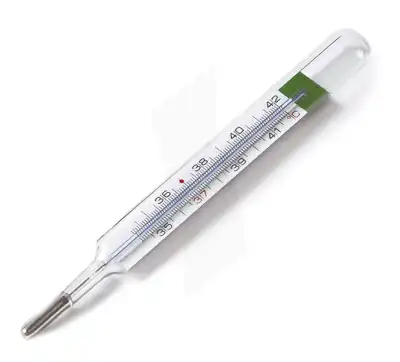 New Test® Thermomètre Sans Mercure à Fronton
