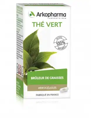 Arkogélules Thé Vert Gélules Fl/45 à TIGNIEU-JAMEYZIEU