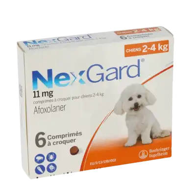 Nexgard 11 Mg Comprimes A Croquer Pour Chiens 2 - 4 Kg, Comprimé à Croquer à RUMILLY