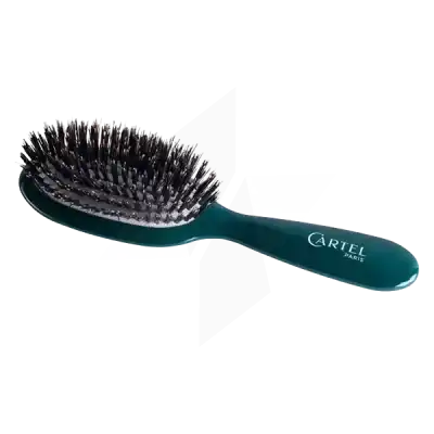 Vitry Cartel Brosse à Cheveux Brillance Verte Petite à GUJAN-MESTRAS