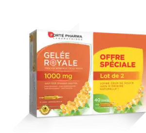 Forte Pharma Gelée Royale 1000 Mg Solution Buvable 2*b/20 Ampoules/10ml à Bordeaux