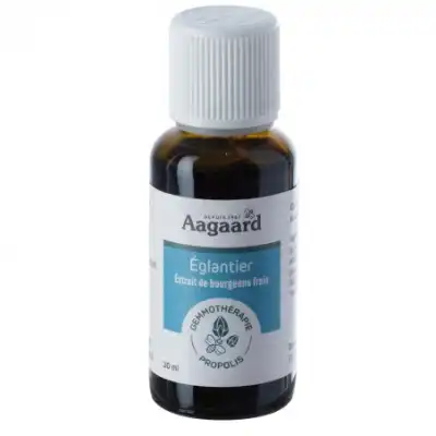 Aagaard Eglantier Macérat Unitaire 30ml à REIMS