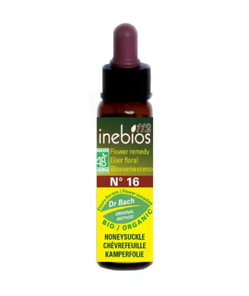 Inebios 112 N°16 Chevrefeuille