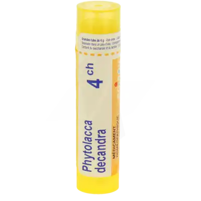 Boiron Phytolacca Decandra 4ch Granules Tube De 4g à Abbeville