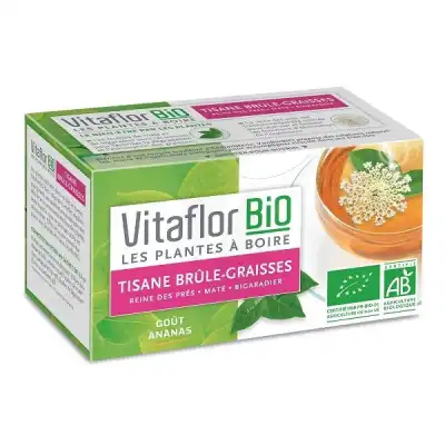 Vitaflor Bio Tisane Brule Graisse à VILLENAVE D'ORNON